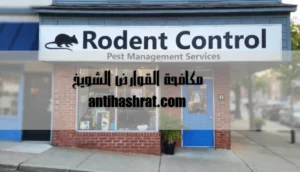 مكافحة القوارض الشويخ