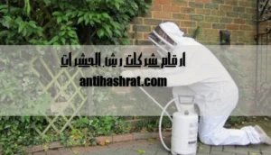 ارقام شركات رش الحشرات