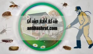 شركة أبادة حشرات