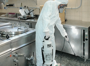 شركة رش مبيدات بالعقيلة