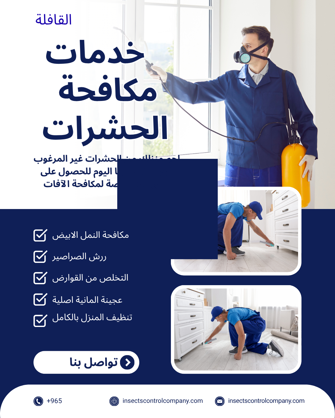 مكافحة حشرات في الضباعية