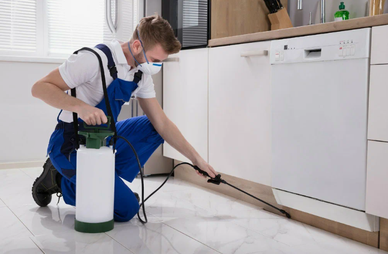 شركات مكافحة حشرات في الفروانية